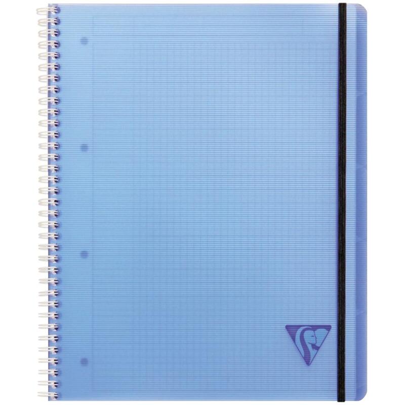 Proactiv'Book Linicolor FRESH cahier reliure intégrale A4+ 160 pages détachables perforé 4 trous petits carreaux + cadre en-tête + 1 pochette trieur couverture plastique polypropyène rainuré Couleur aléatoire - Assortis