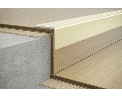 SKANDOR traprandprofiel champagne geanodiseerd zelfklevend 20x24,5x2700 mm