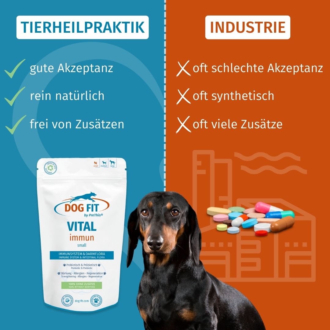 DOG FIT by PreThis® VITAL immun für Hunde » Stärkung, Darmaufbau, bei Allergien (small)