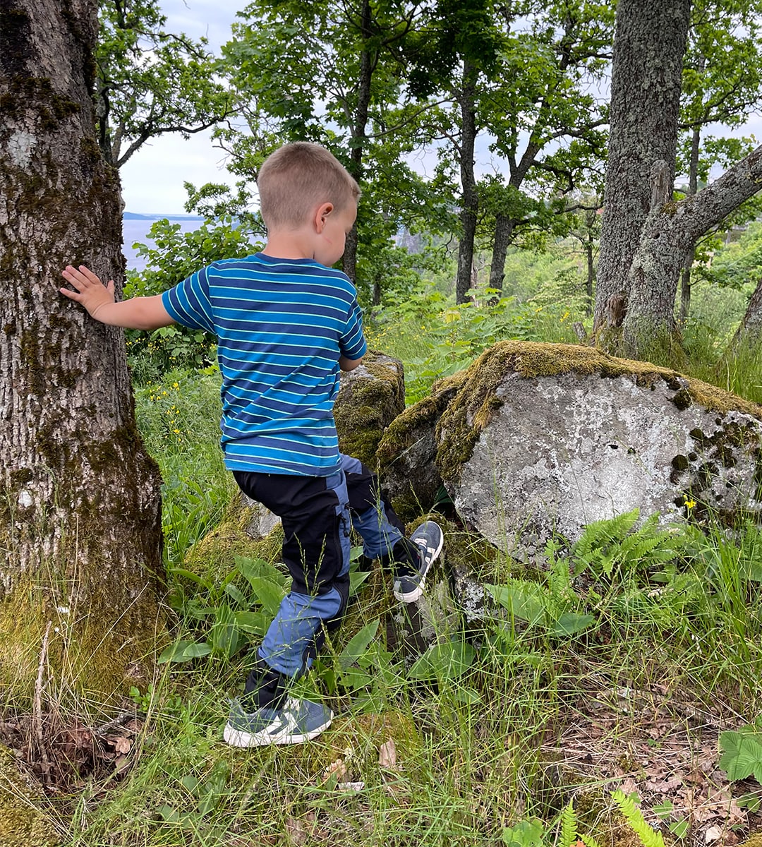 Peak Motion Fjellgeita, Turbukse til barn