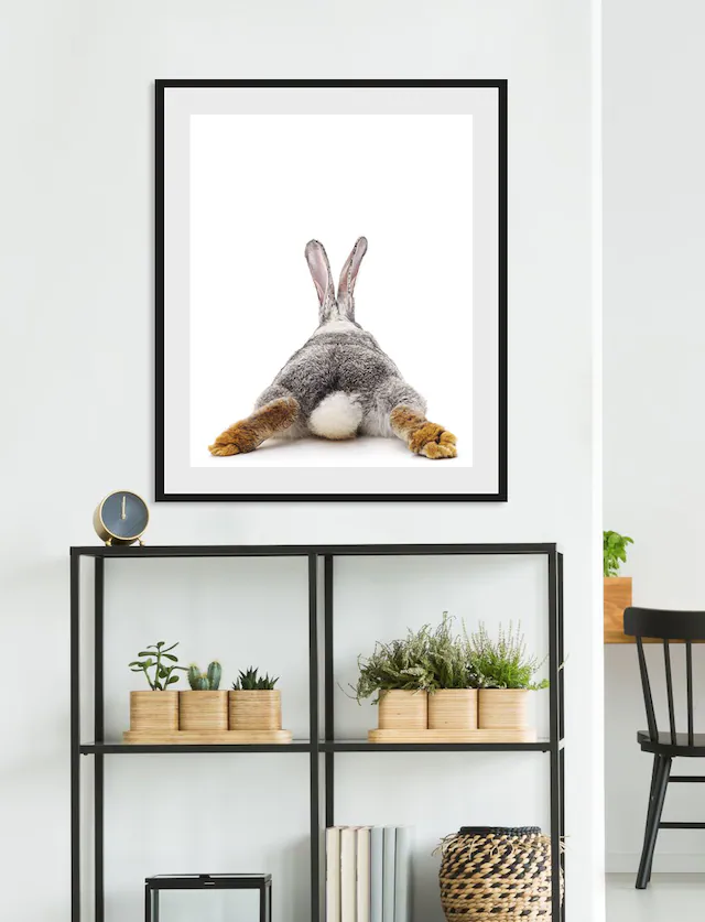 queence Bild »Bunny Tail« Foto | Haustiere | Humor 1 Stk. tlg. HD Premium Poster-Druck inkl. Holzrahmen