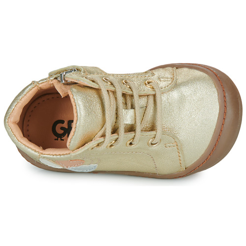 GBB - REINETTE FLEX - Doré