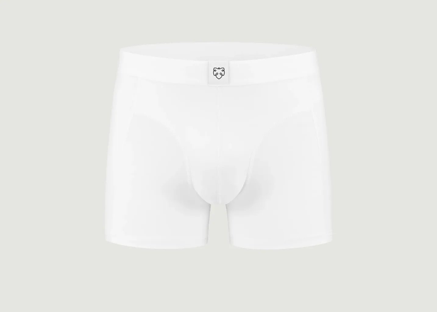 Boxer Okke A-dam