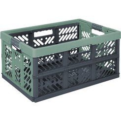 Caisse de rangement pliante 'ben'