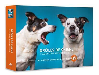 HUGO IMAGE - AGENDA CALENDRIER DROLES DE CHIENS 2025