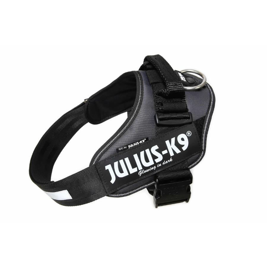 Coleira para cães Julius K9, cinza