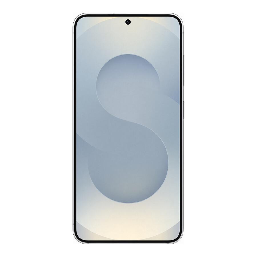 Samsung Galaxy S25 5G (Gris) - 256 Go