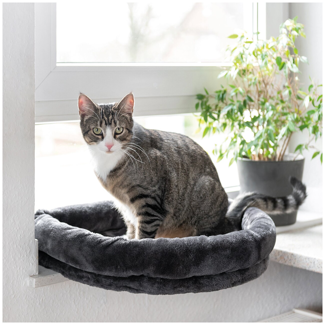 Canadian Cat Company Fensterliege Loveseat