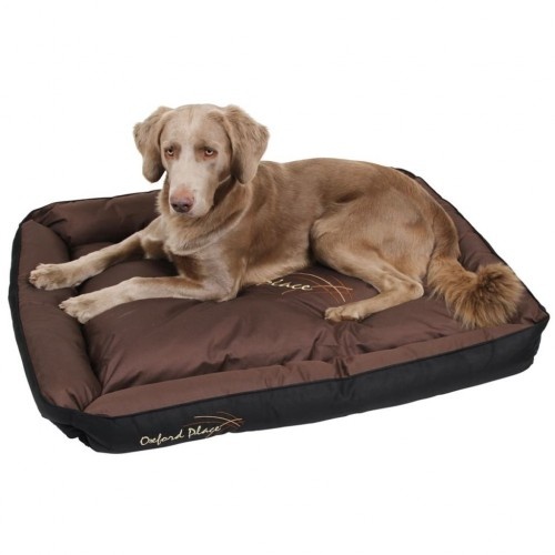 Cama retangular para cães Oxford Place, marrom