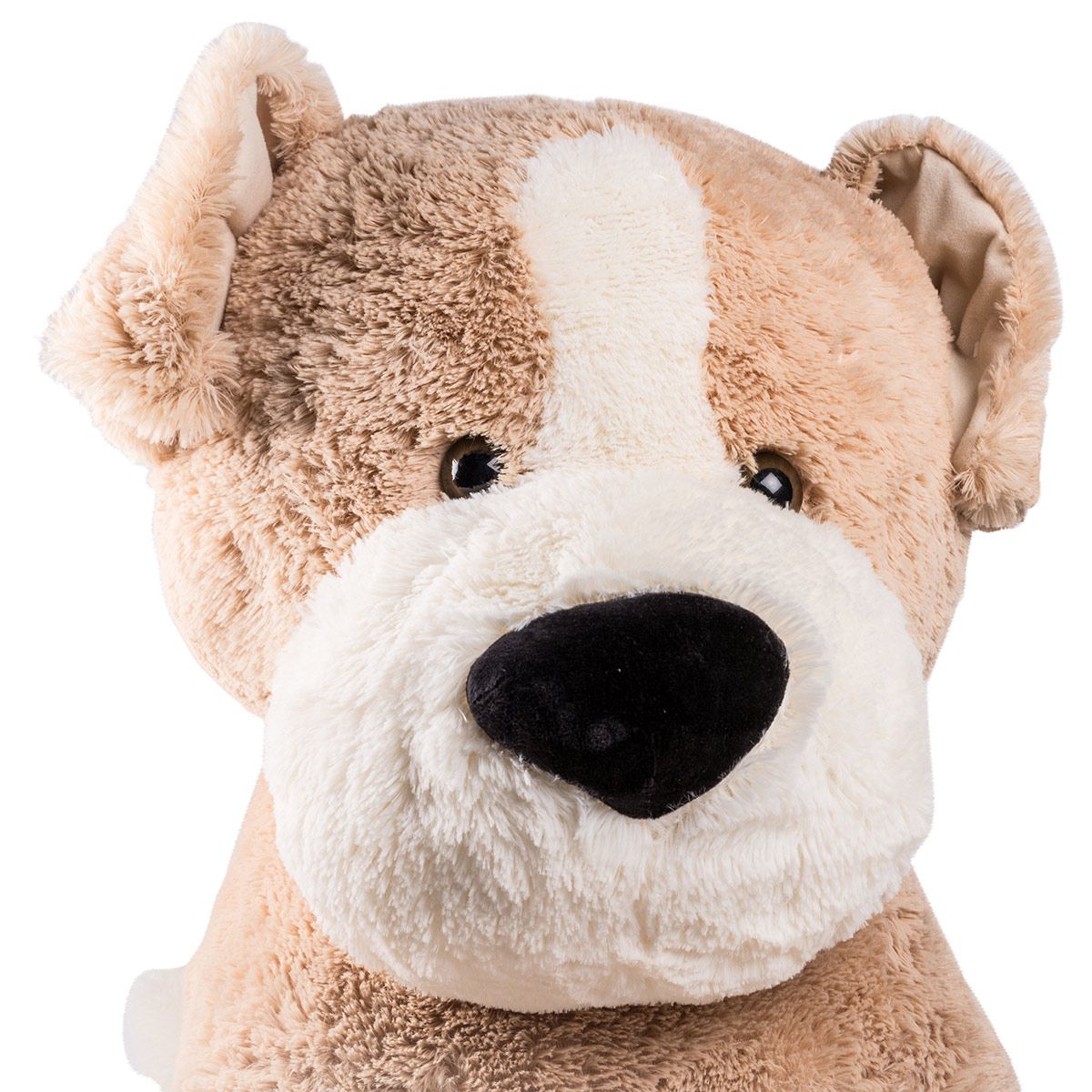 Chien assis 80 cm