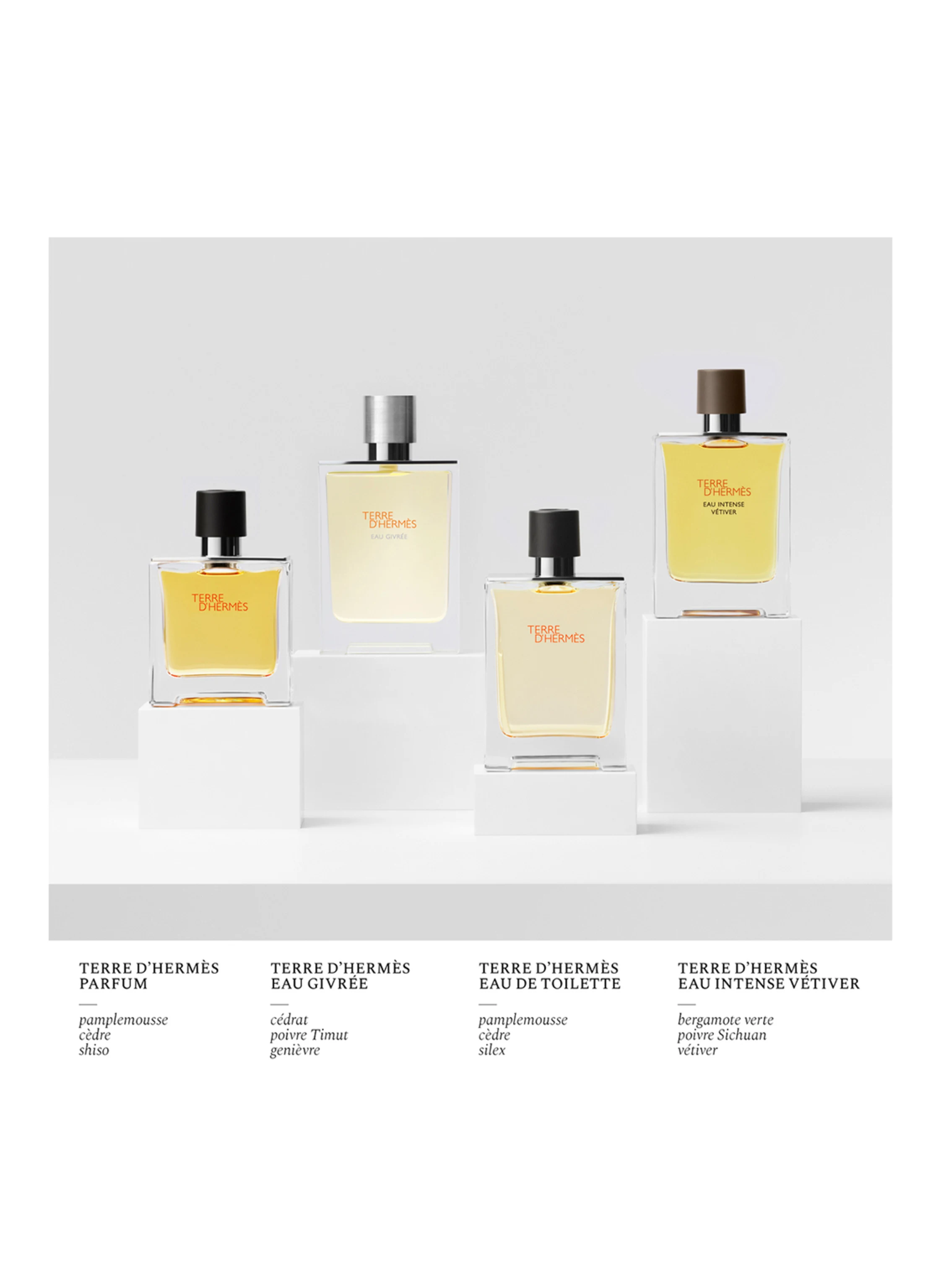 HERMÈS TERRE D'HERMÈS EAU GIVRÉE