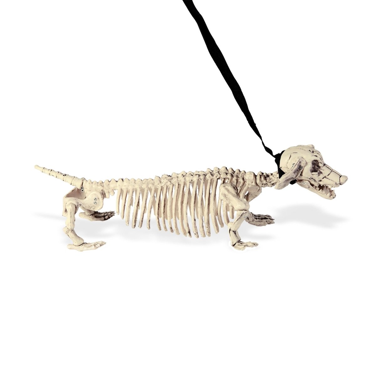 Halloween Skelet Tekkel Met Riem
