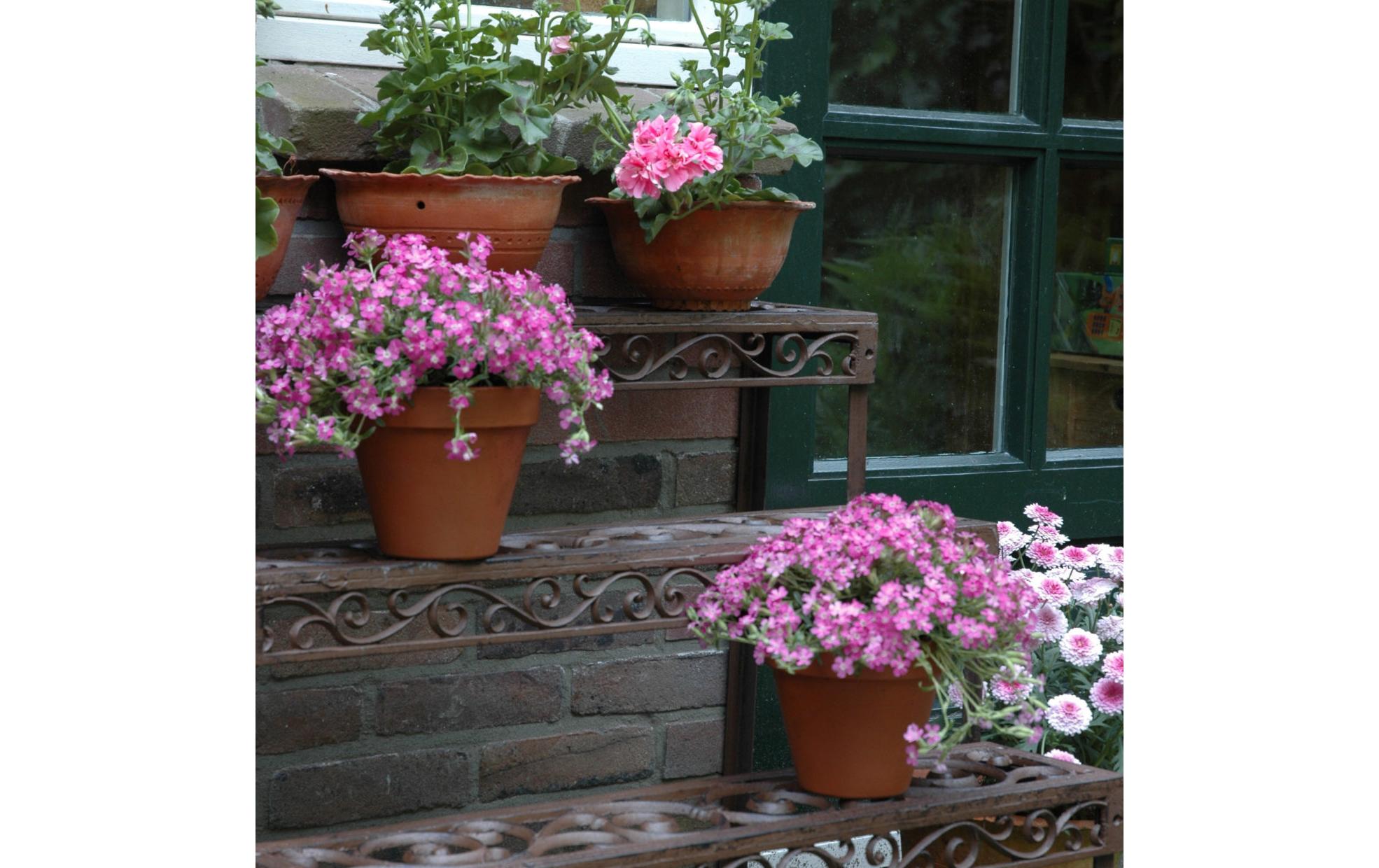 Blumentreppe aus Gusseisen, rechteckig<br>Rostbraune Blumentreppe aus Gusseisen