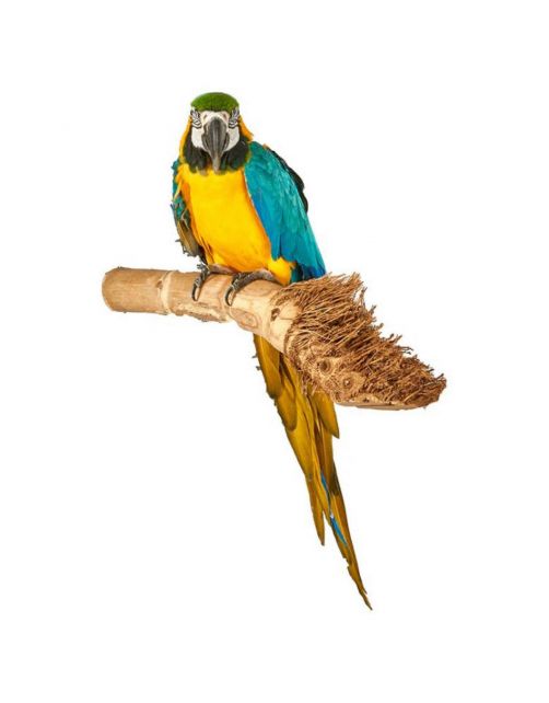 Sky Pet Products Zitstok Bamboo Perch - Vogelverblijven-Toebehoren - per stuk Small