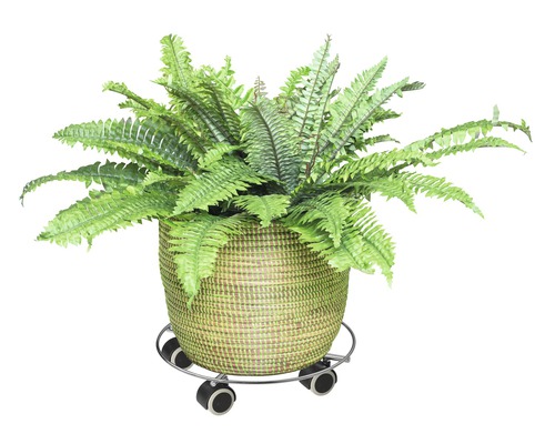 Wagner plantenroller met vloerbeschermende zachte wielen, chroomstaal, Ø 30 cm, max. draagvermogen 60 kg