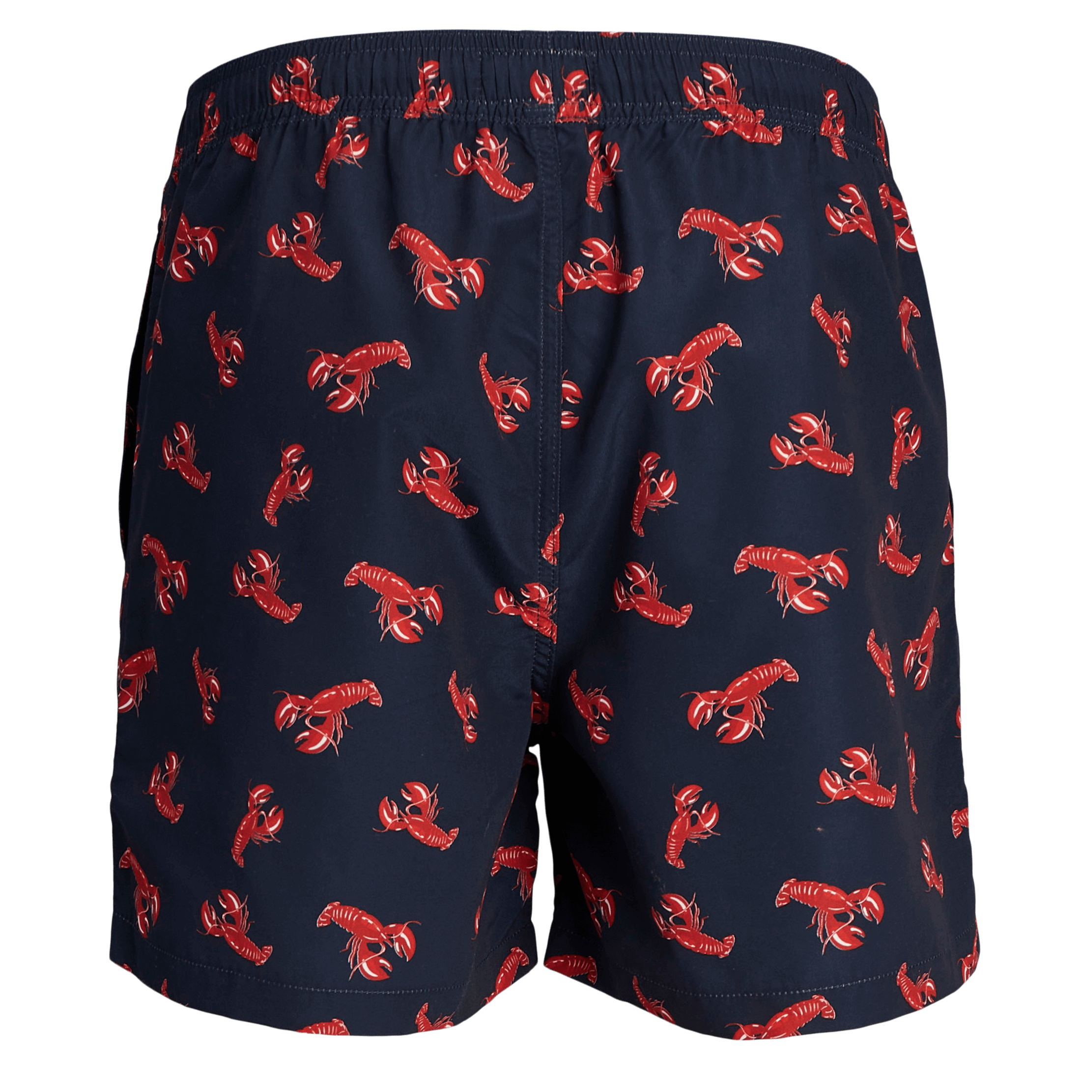 North Pro Swim Shorts AOP - Svømming