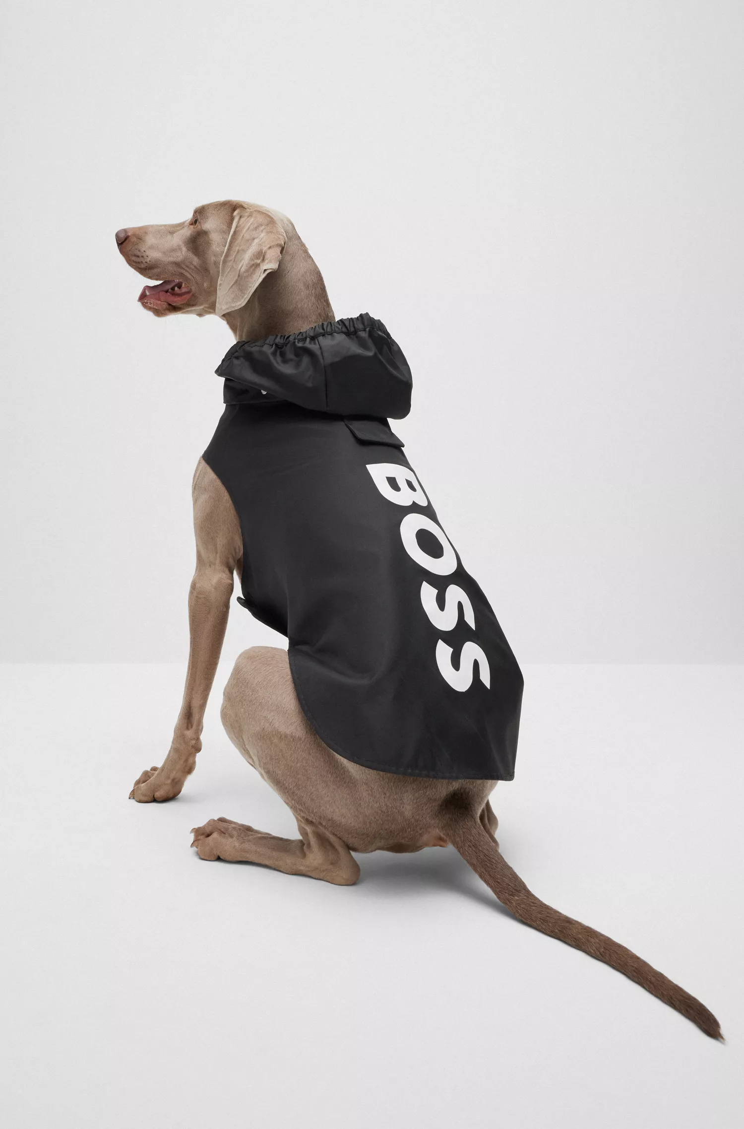 Capa de chuva BOSS Black-Dog em tecido impermeável com logotipo contrastante.