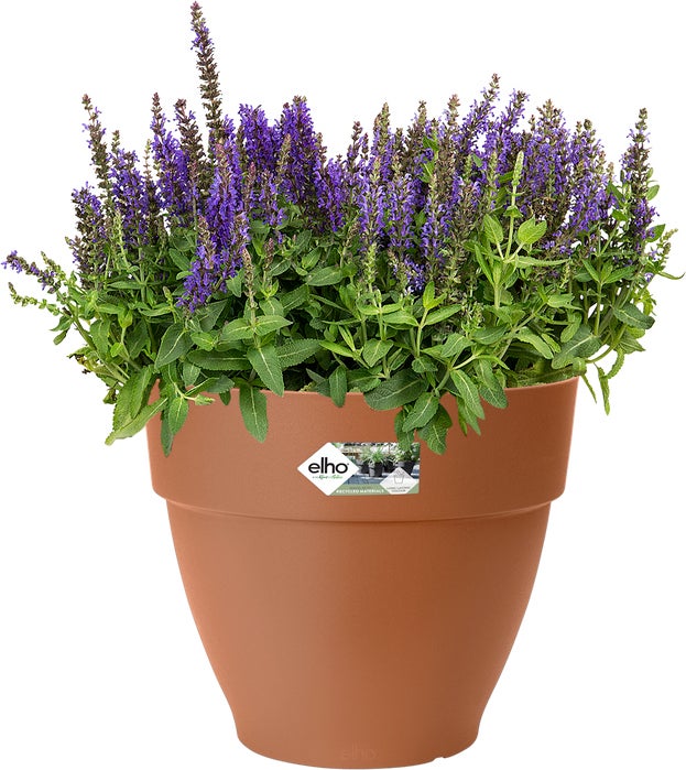 Elho bloempot Vibia Campana terracotta D 24,5 H 21 cm