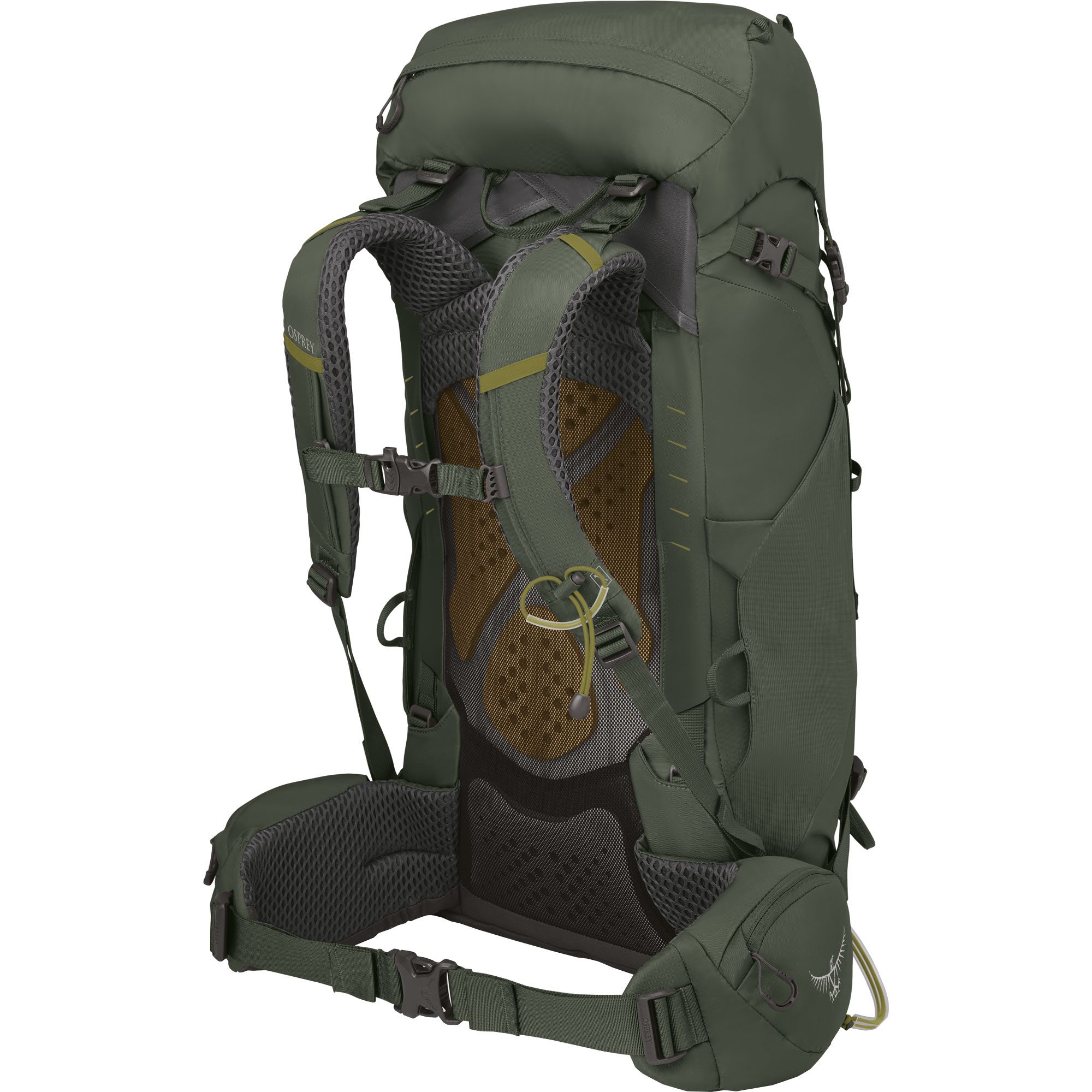 Osprey Kestrel™ 38l Trekkingrucksack bonsai green