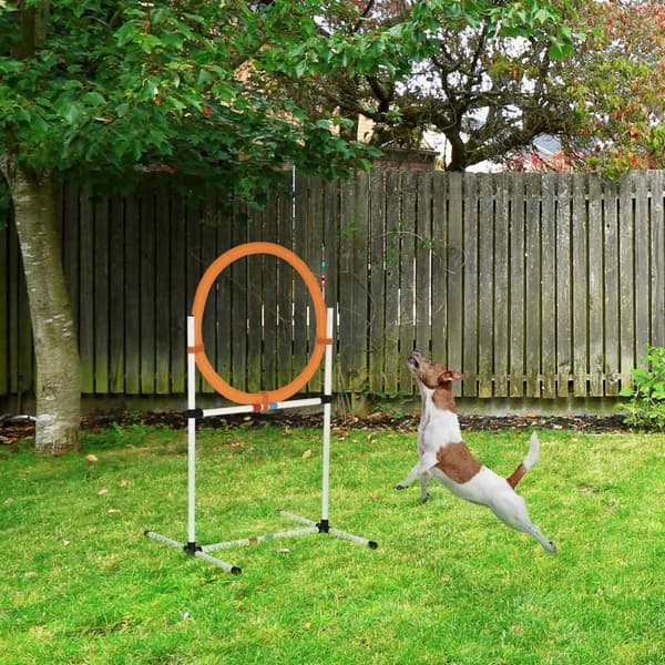 Hundetreningssett Hoppering For Smidighetstrening, Bærbar, Pe, Hvit + Oransje, 74,5X66X91Cm