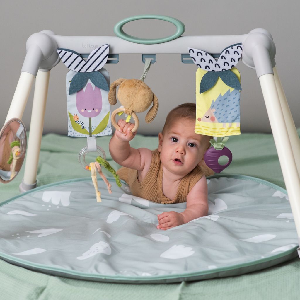 Taf ToysTaf Toys   Spielmatte Urban Garden
