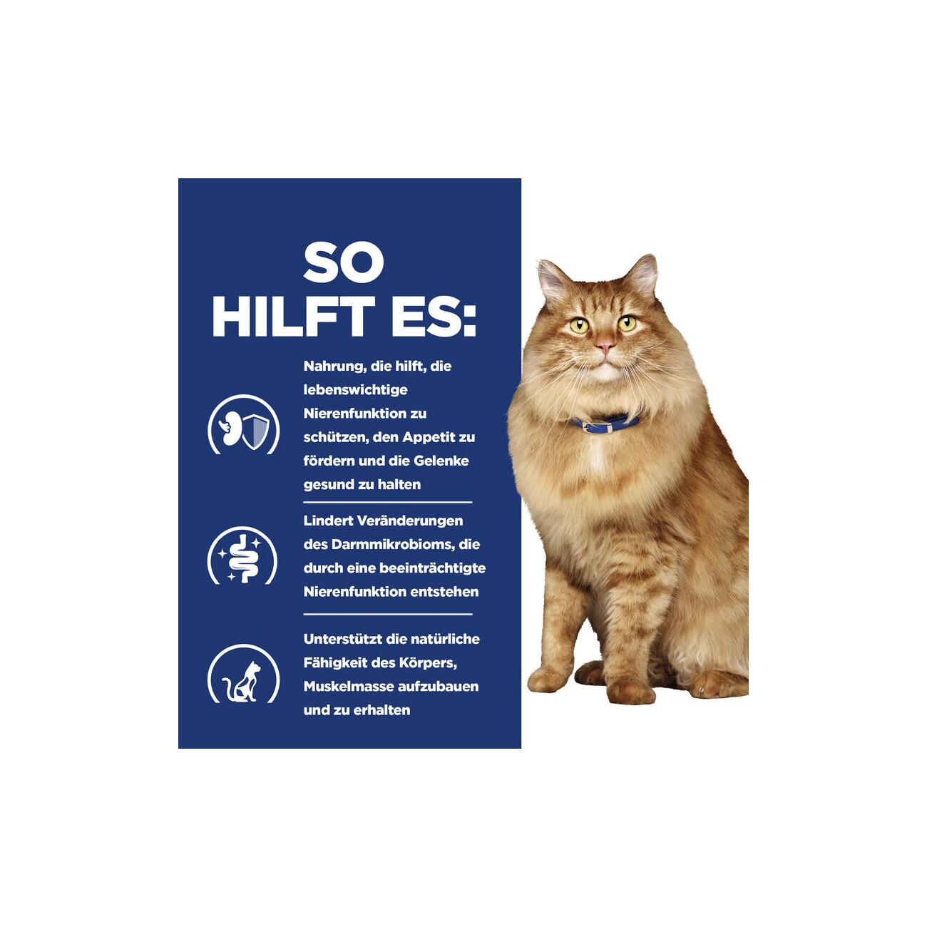 Hill's Prescription Diet k/d + Mobility Kidney + Joint Care 1,5 kg