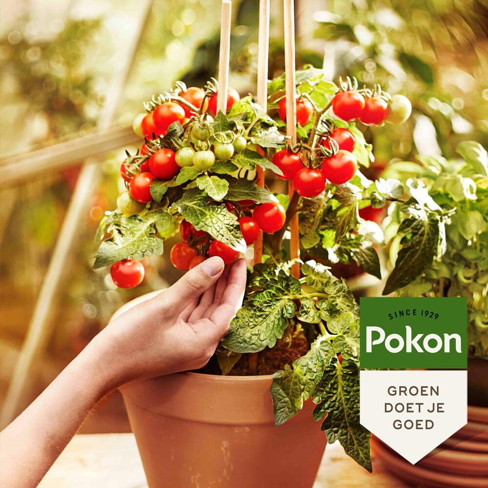 Pokon Moestuin Grond Biologisch10 liter
