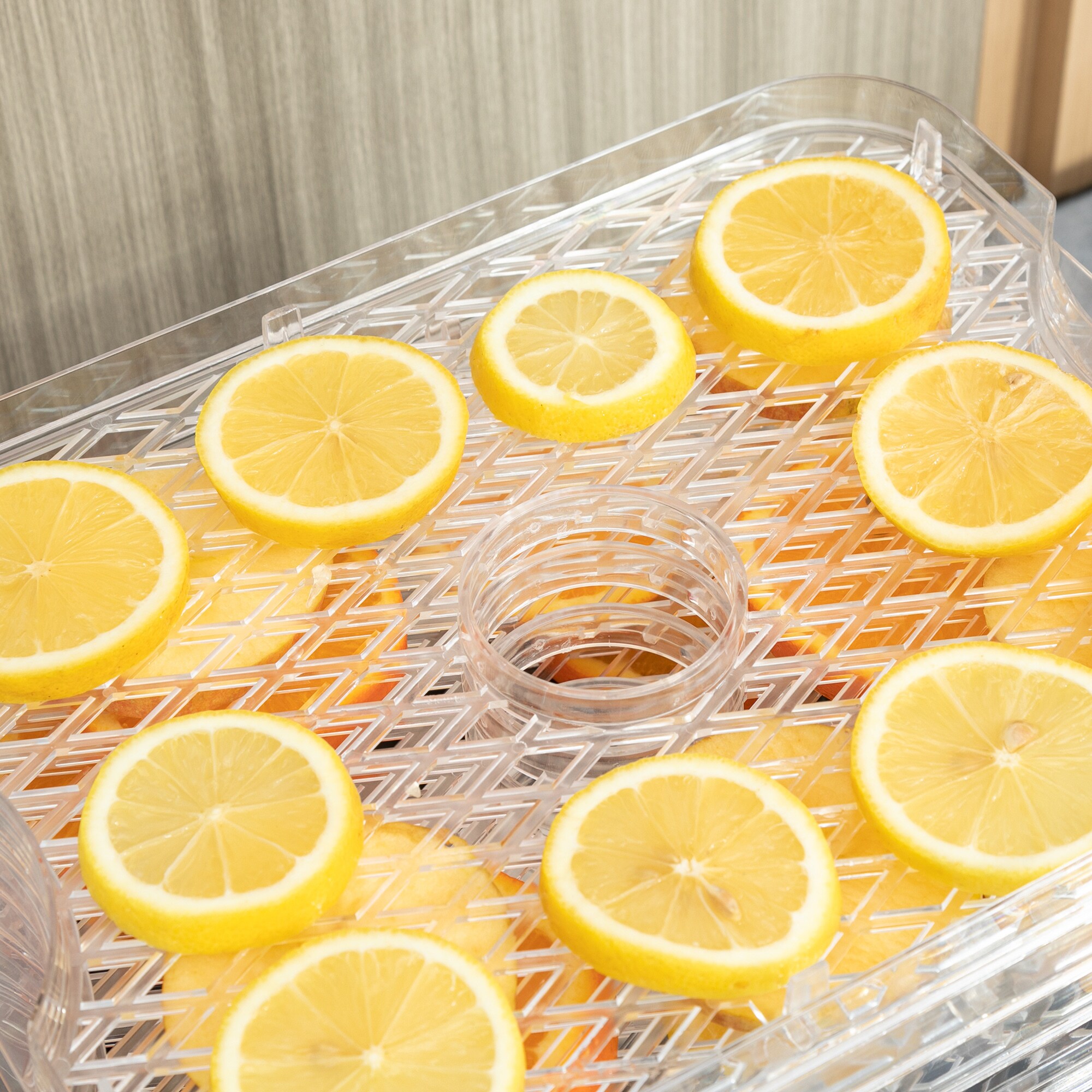 HOMCOM Dörrgerät mit Temperaturregler silber 32L x 25B x 29H cm