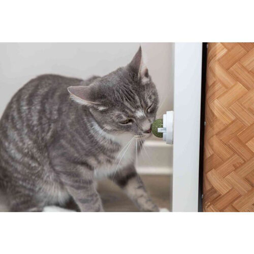 Trixie Catnip-bal met Houder