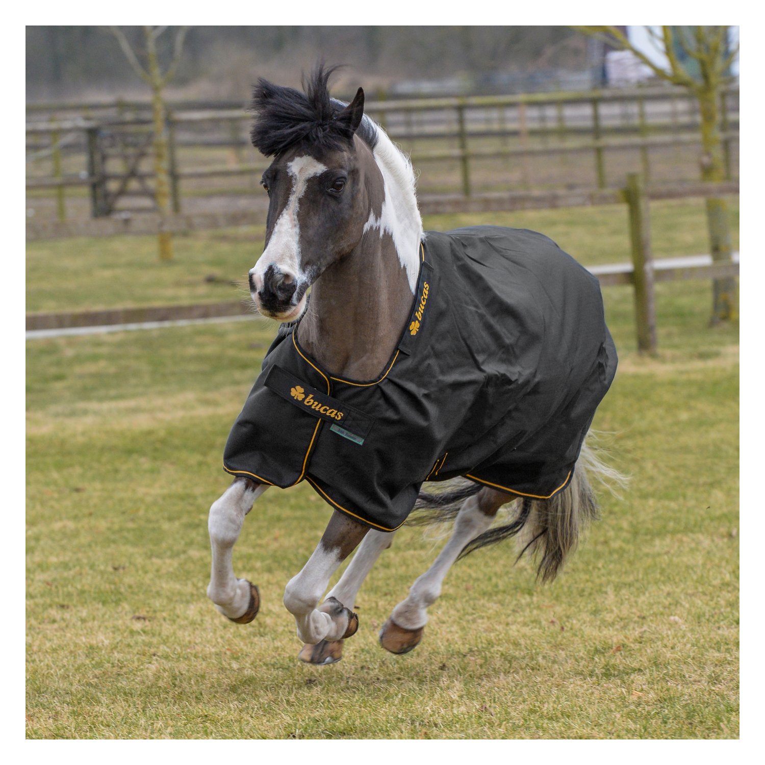 bucas Outdoordecke Irish Turnout light - black/gold