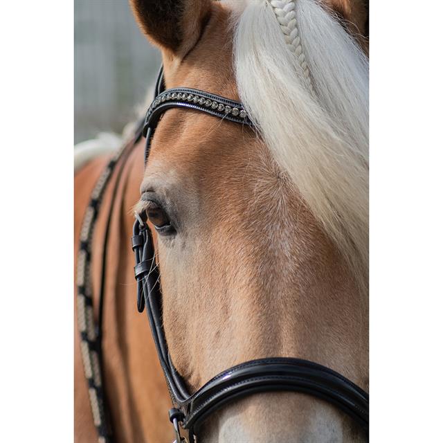 Bitloos Hoofdstel Free Horse FHLibertas Zwart