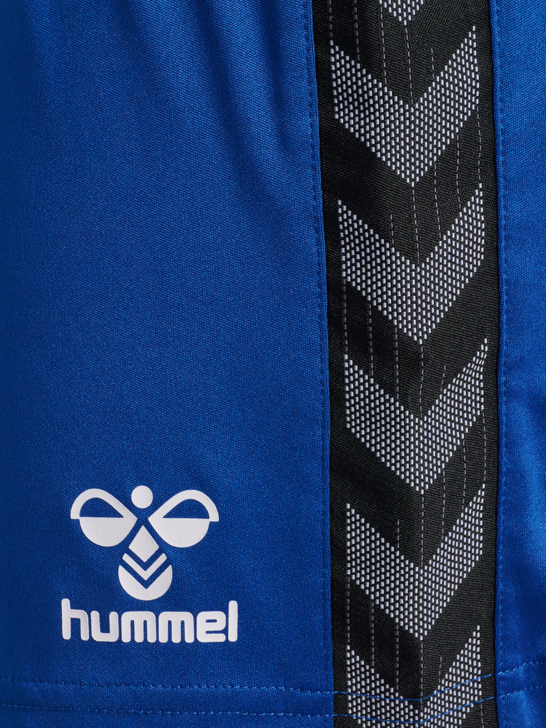 hmlAUTHENTIC PL SHORTS WOMAN