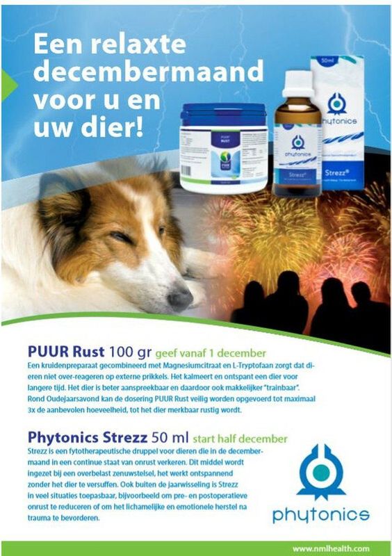 Phytonics Strezz - 50 ml