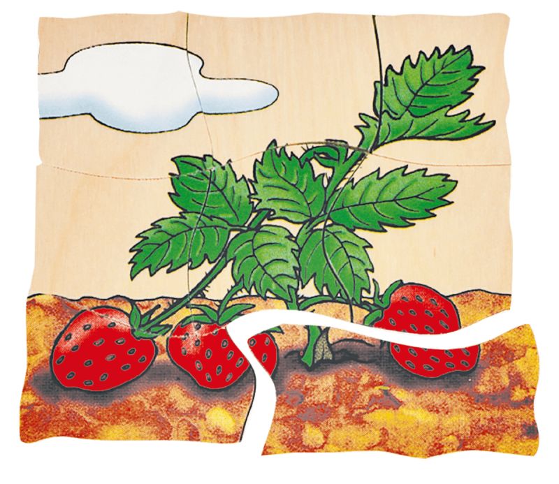Beleduc Lagen-Puzzle Erdbeere