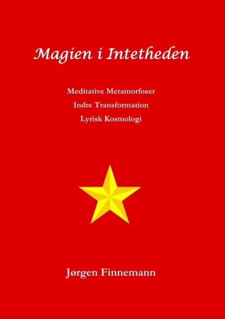 Magien I Intetheden - Jørgen Finnemann - Bog