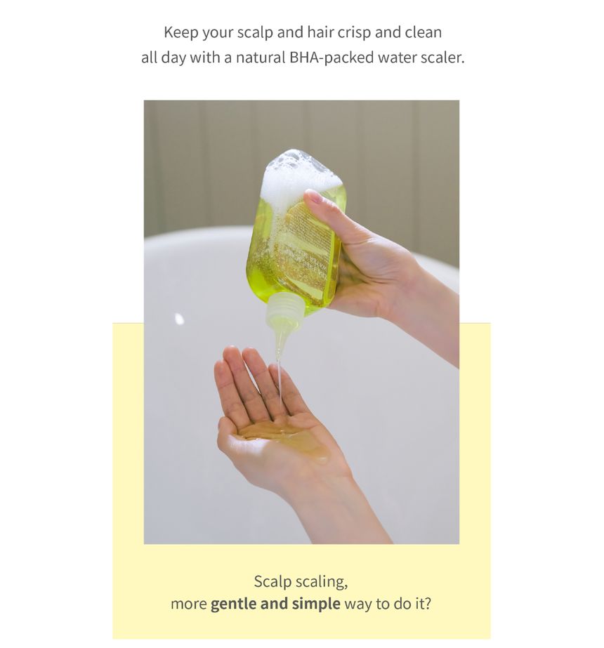 STEAMBASE - Tea Tree Scalp Water Scaler
