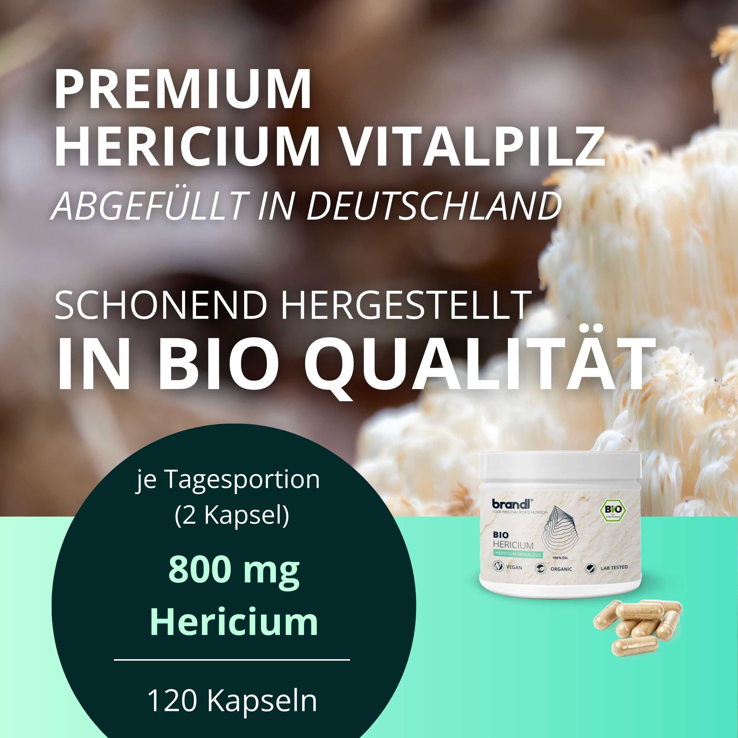 brandl® Bio Lions Mane (Hericium Erinaceus) Vitalpilz