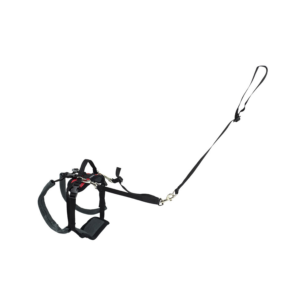 PetSafe Carelift - Draagsysteem voor de hond