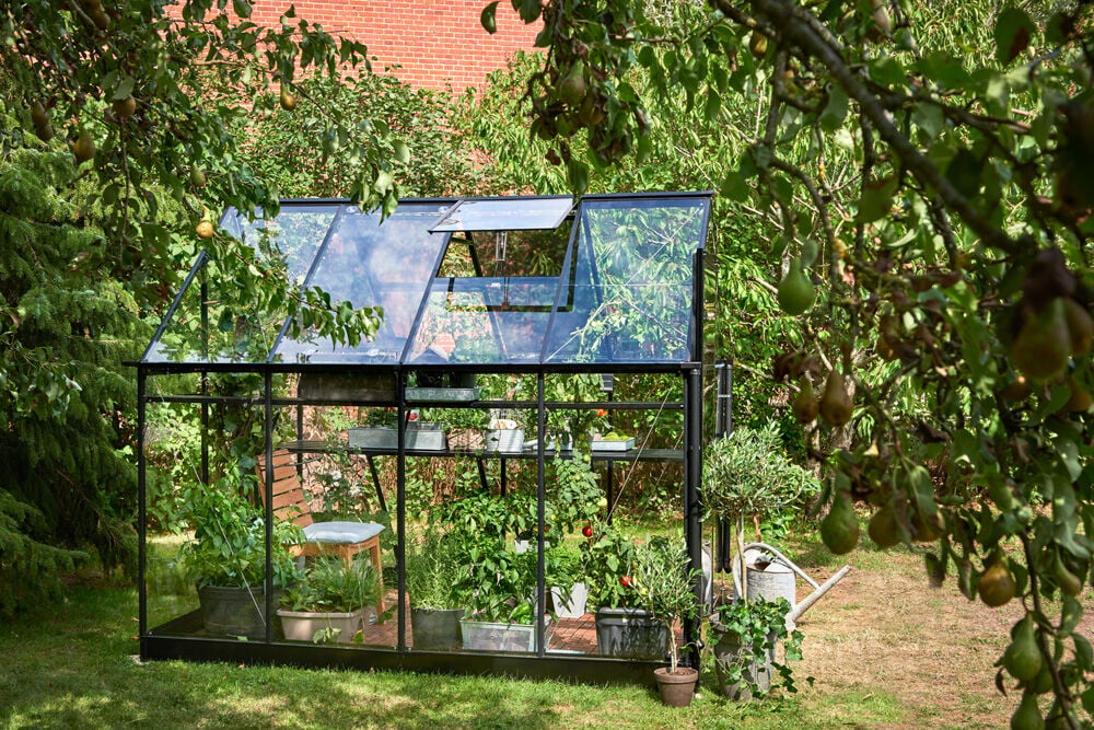 Halls Qube 68 - Tuinkas - zwart - 219x198x259 cm - Veiligheidsglas