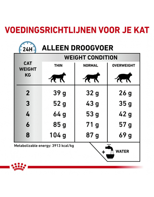 Royal Canin Veterinary Diet Cat Anallergenic - Kattenvoer