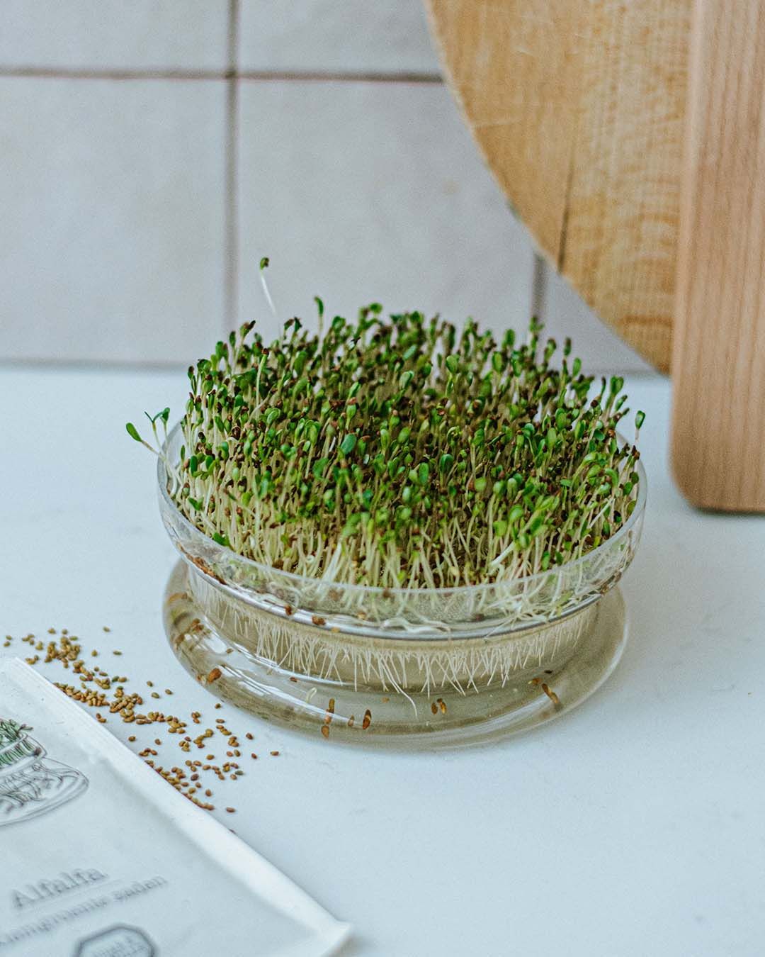 Kiemgroente, biologisch, radijskers, 25 g