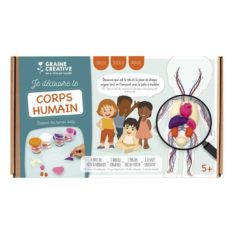 Coffret découverte du corps humain - kit de moulage éducatif