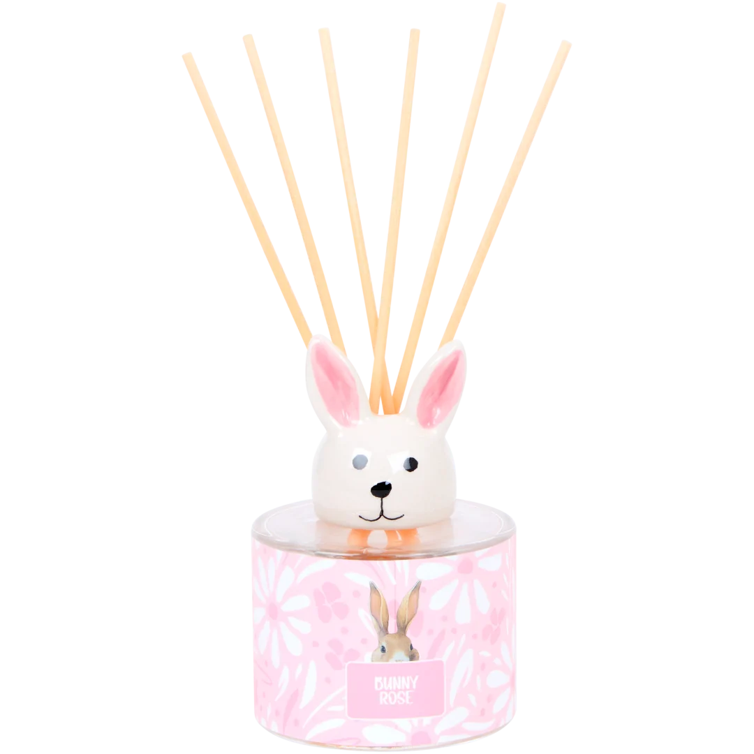 Diffuser 100 ml | diverse varianten