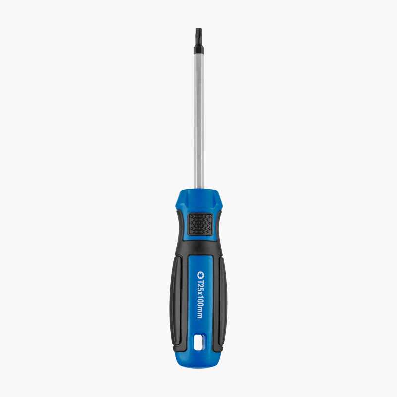 Torxskrutrekker T25 x 100 mm
