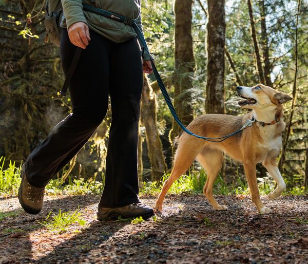 RUFFWEAR® Bungee Joggingleine Roamer™