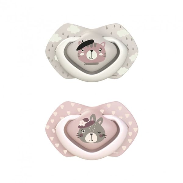 CANPOL BABIES silicone symmetrical soothers BONJOUR PARIS, 6-18m, 2 pcs,  22/648_pin