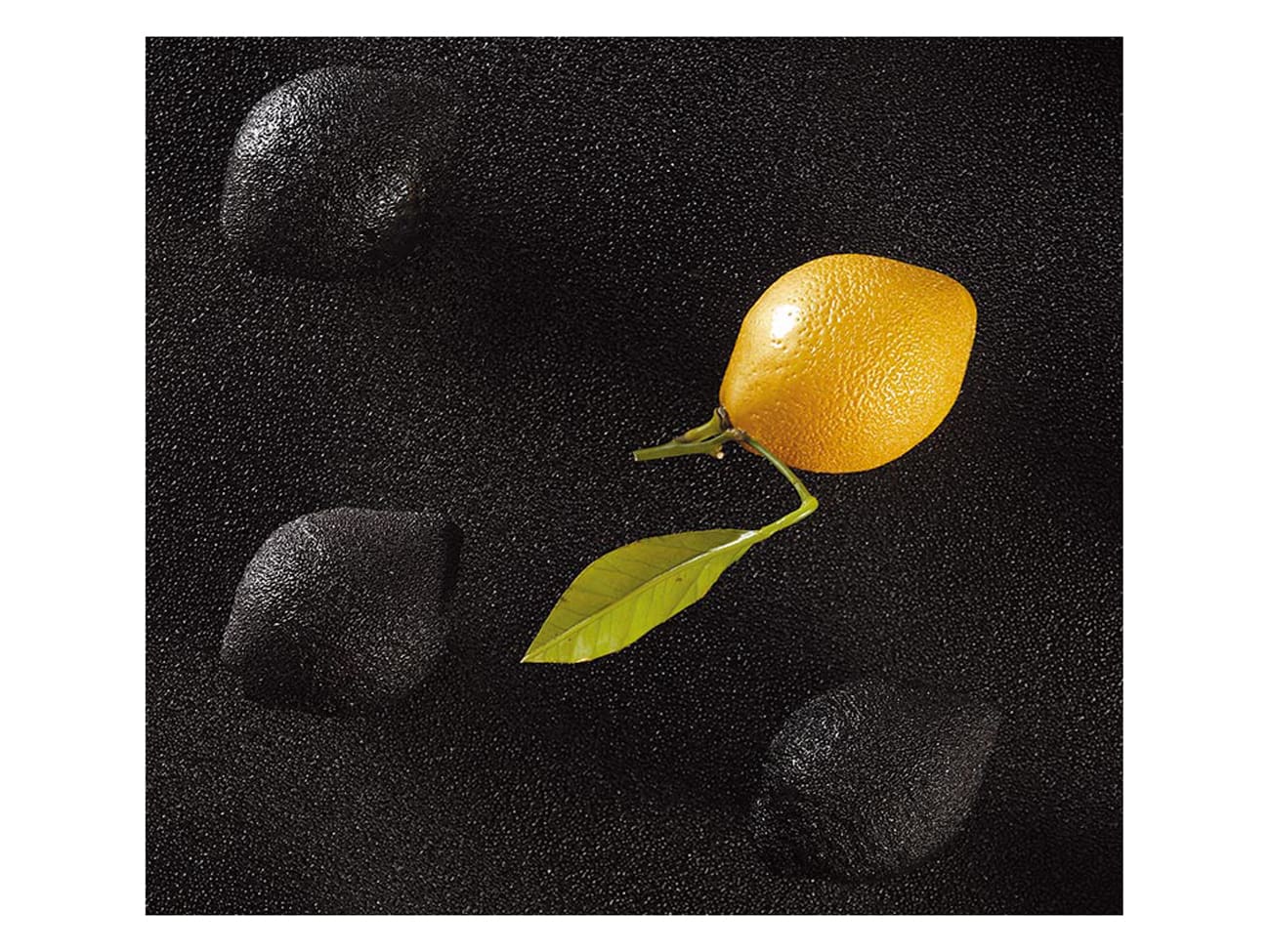 Moule silicone 3D Citron - Cedric Grolet - 30 x 17,5 cm - Pavoni