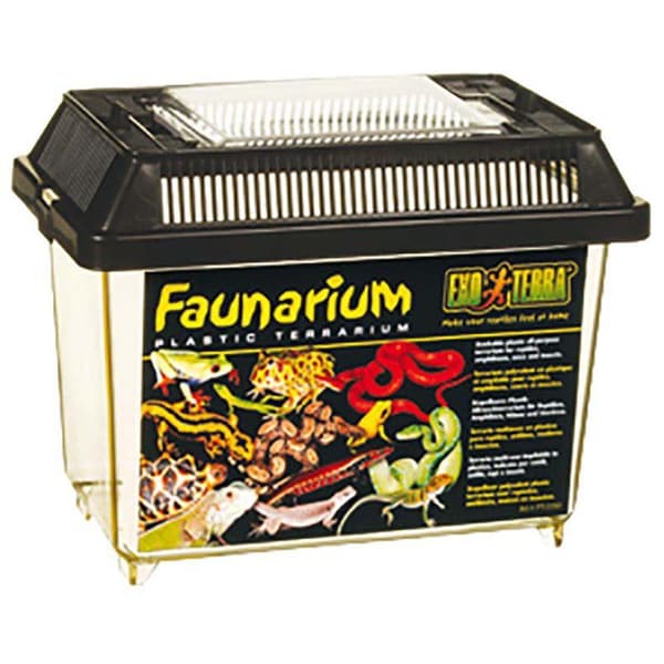 Exoterra Faunarium liten plast 23x15,3x16,5cm