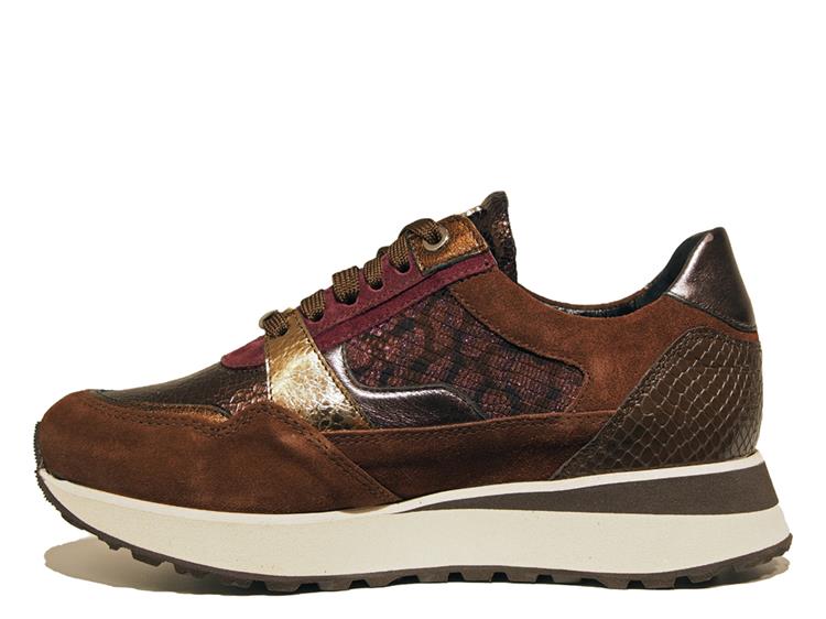 Footnotes 32.009 wijdte K 2555