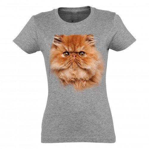 Camiseta feminina persa, vermelha e cinza.